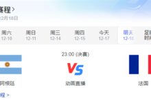 预判世界杯夺冠全网疯抢!梅西阿根廷球衣全球售罄 - v2ra小站