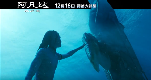 《阿凡达2》上映2天票房破2亿救市:三个小时打斗戏超多 剧情为《阿凡达3》留下伏笔 - v2ra小站