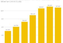 俄罗斯依然能买到AMD的7900、NV 4090/4080等显卡:方法也是没sei了 - v2ra小站