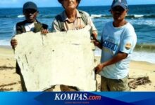 马航MH370关键碎片发现:曾被渔民当做洗衣板长达五年 - v2ra小站