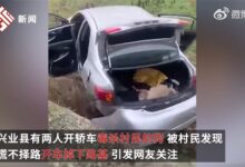 2人毒杀狗被发现后驾车掉下路基 一死一伤引热议:网友竟称大快人心 - v2ra小站