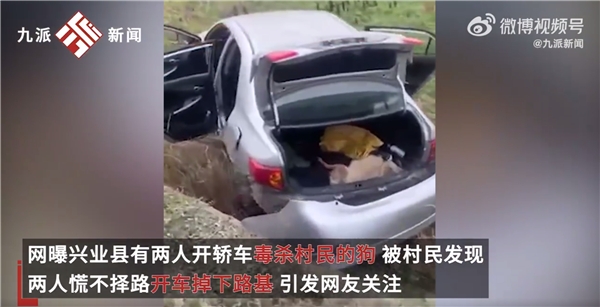 2人毒杀狗被发现后驾车掉下路基 一死一伤引热议:网友竟称大快人心 - v2ra小站