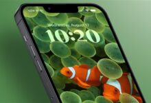 苹果iOS 16.2开发版Beta 4已推送 正式版马上到来 - v2ra小站