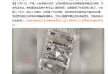 小狗误食6粒布洛芬器官衰竭死亡 医生提醒：过量用药危害甚大 - v2ra小站