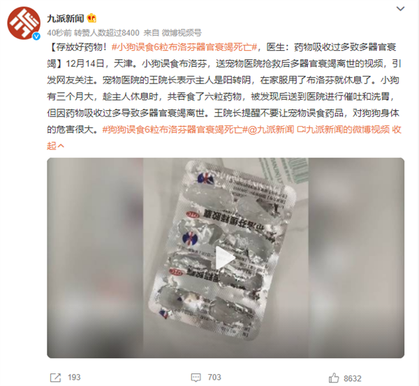 小狗误食6粒布洛芬器官衰竭死亡 医生提醒：过量用药危害甚大 - v2ra小站