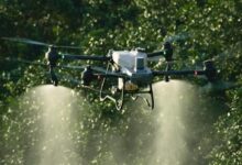 无人机刮伤田里农妇致其十级伤残:保险公司被判全额赔偿 - v2ra小站