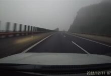 离谱！男子高速上跟猫吵架 结果冲出道路发生事故 - v2ra小站