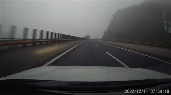 离谱!男子高速上跟猫吵架 结果冲出道路发生事故 - v2ra小站
