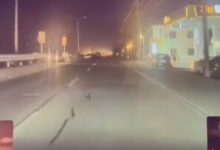 特斯拉主动避让立功:比人反应快、完美躲避路上黑衣男! - v2ra小站