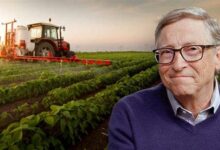 美国最大私人地主 大量买地引质疑!比尔盖茨回应:只为提高产量 - v2ra小站