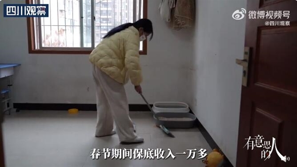 带薪撸猫！95后宠托师春节保底收入过万：工作氛围很轻松 - v2ra小站