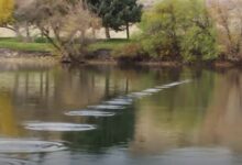 重的石头也能打出好水漂：研究应用价值竟跟飞机有关！ - v2ra小站