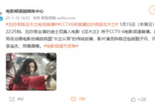CCTV6本周将首播迪士尼真人电影《花木兰》:刘亦菲、甄子丹主演 - v2ra小站