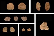 山东发现距今1.32万年人类遗址!1000多遗物、发现最早陶器 - v2ra小站