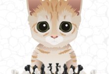 猫咪机器人下国际象棋快逼疯人类 顶级棋手也只能和它打成平局 - v2ra小站