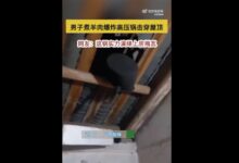 男子煮羊肉爆炸高压锅击穿屋顶 瞬间变炸弹太可怕:专家科普 - v2ra小站