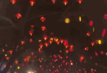 红灯藏在成片红灯笼里引司机吐槽:差点6分没了 - v2ra小站