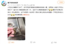 山姆回应蓝环章鱼事件：供应商选品加工环节均不存在该章鱼 - v2ra小站