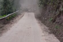 万物有灵 被收养流浪狗跳车拦住怀孕主人 下一秒山路塌方 - v2ra小站