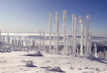 西藏林芝一隧道出口雪崩 8人遇难:失联者家属称丈夫计划回家过年 - v2ra小站