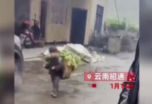 “背菜女孩”家人回应1年赚20万 不穷：虚构捏造博眼球视频获流量应被整治 - v2ra小站