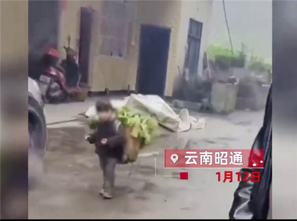 “背菜女孩”家人回应1年赚20万 不穷:虚构捏造博眼球视频获流量应被整治 - v2ra小站