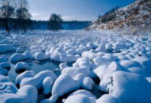 漠河零下53℃极寒 有居民屋里穿短袖！网友集体羡慕：我们这取暖靠抖 - v2ra小站