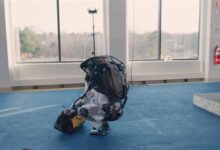 “搭桥”运工具 波士顿动力机器人展示新技能:网友却不认账 - v2ra小站