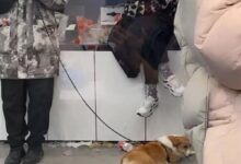 车主激烈维权上演0元购!特斯拉成都门店否认:都是理性维权 - v2ra小站