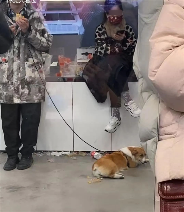 车主激烈维权上演0元购！特斯拉成都门店否认：都是理性维权 - v2ra小站