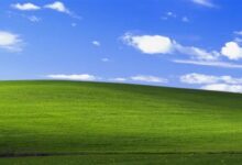 蓝天绿草太经典:玩家在《魔兽世界》中重现WinXP默认壁纸 - v2ra小站