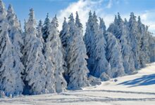 2023年第一场雪来了!今日起共三天:入冬以来最大范围雨雪 - v2ra小站