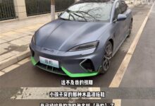 男子花32万买比亚迪海豹 内心崩溃:汽配城都没这么难看 - v2ra小站
