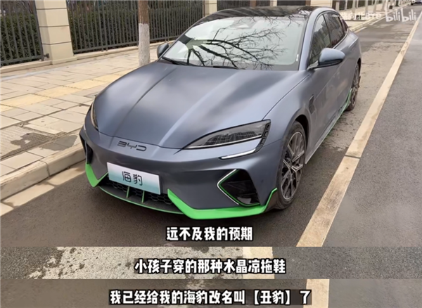 男子花32万买比亚迪海豹 内心崩溃：汽配城都没这么难看 - v2ra小站