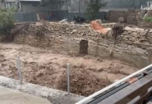 美国加州风暴天气已致17死 有大树直接被连根拔起 - v2ra小站