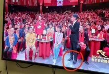 撒贝宁戴兔头帽回应鞋跟高:画面让人笑翻 - v2ra小站