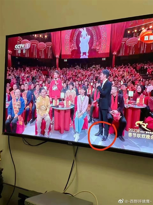 撒贝宁戴兔头帽回应鞋跟高：画面让人笑翻 - v2ra小站
