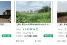 “加水就能跑”的青年汽车被拍卖 前员工:仍未拿到赔偿金 - v2ra小站