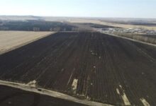 丰收1年 挥霍掉400年的积累！东北黑土地不“黑”了 - v2ra小站