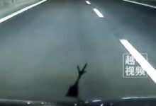 男子高速撞鸟 鸟腿成三叉戟立标 丰田秒变“玛莎拉蒂” - v2ra小站