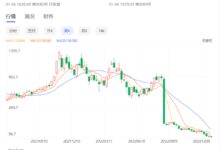 1.3万亿没了 马斯克个人财富损失打破吉尼斯世界纪录 - v2ra小站