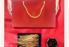 长白山人参旗舰店:全须生晒参4盒99元狂促(300元大额券) - v2ra小站