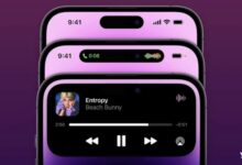 灵动岛只是过渡品!iPhone 16或配备屏下Face ID - v2ra小站