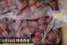 女子樱桃过敏公司年货发1箱车厘子：本来很期待公司的过年礼物 - v2ra小站