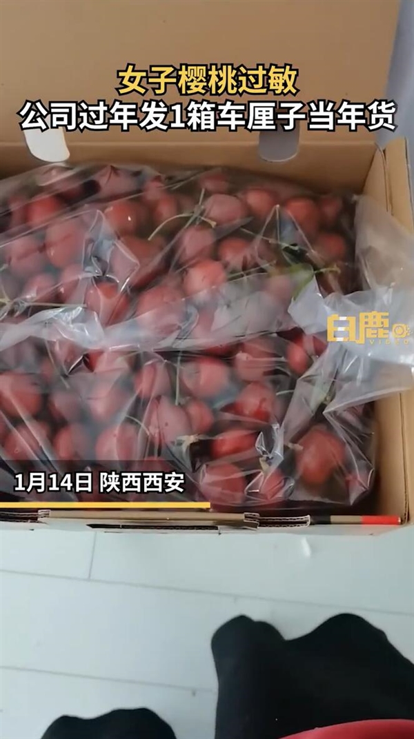 女子樱桃过敏公司年货发1箱车厘子：本来很期待公司的过年礼物 - v2ra小站