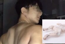 男生健身1年回家被小侄子叫牛蛙 网友看笑:童真最动人 - v2ra小站