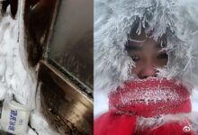 极寒下的黑龙江:单元门变“冷库” 出门就变圣诞老人 - v2ra小站