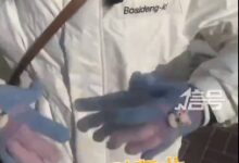 女子吐槽羽绒服到东北变嘎嘣脆 为什么遇冷会变硬？ - v2ra小站