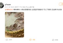 火锅店内惊现剧毒蓝环章鱼 网友在线请教:还好没吃 - v2ra小站