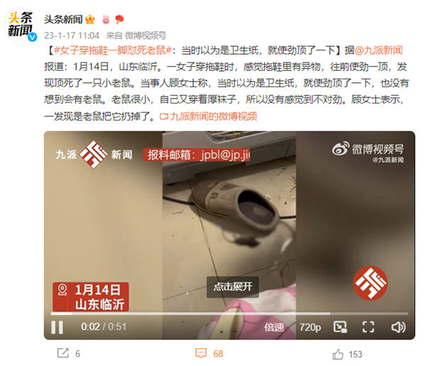 女子穿拖鞋一脚怼死小老鼠 万幸没被咬：比猫狗更可怕 - v2ra小站